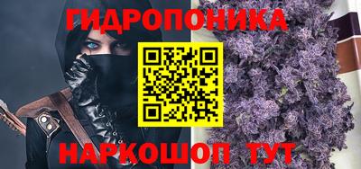 тгк Славгород