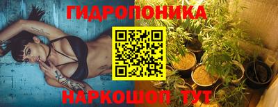 тгк Славгород