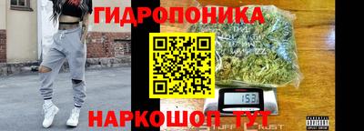 тгк Славгород