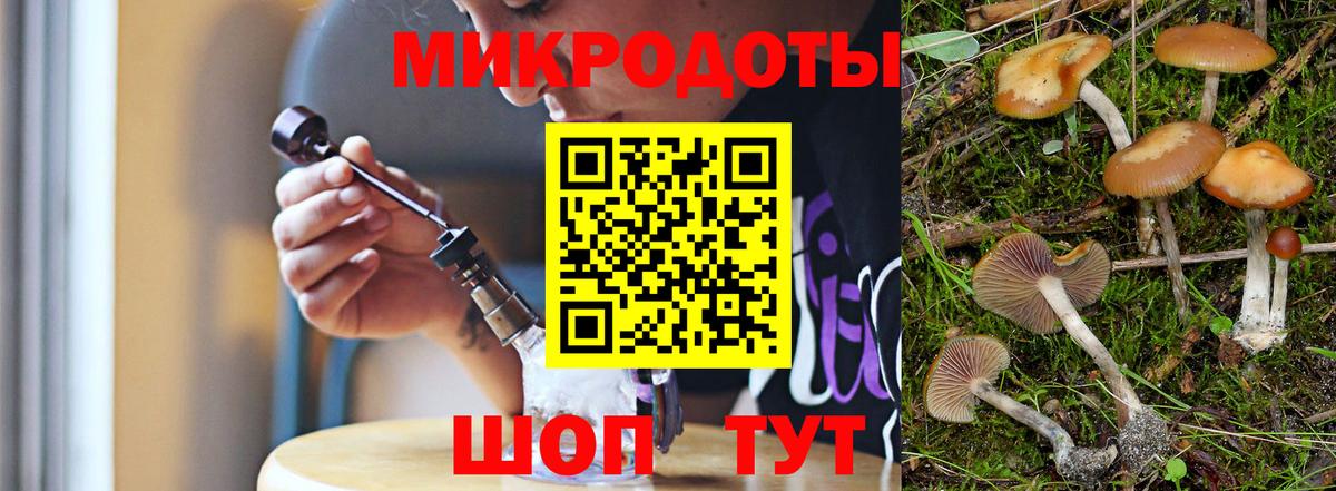 Галлюциногенные грибы прущие грибы Осинники