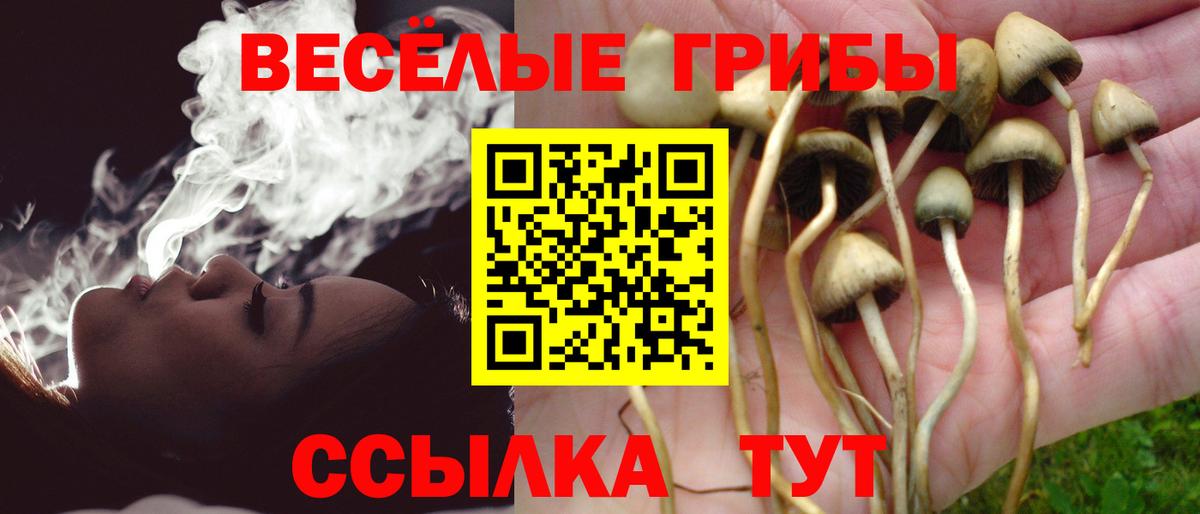 Галлюциногенные грибы мицелий  Вход с VPN  Осинники  Псилоцибиновые грибы MAGIC MUSHROOMS 